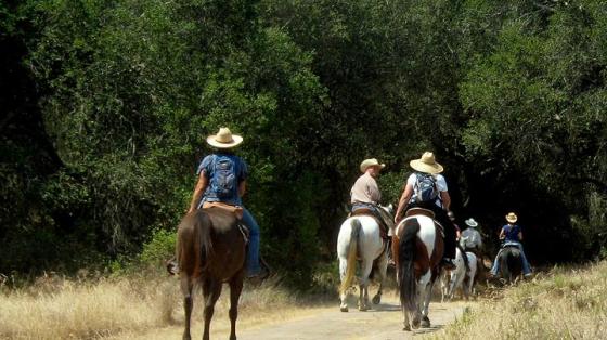 Equestrian Trail Ride: Horseshoe Loop to Fremont