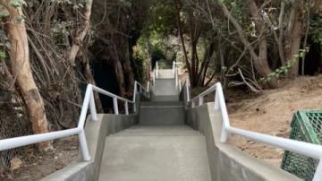 Looking down a long, concrete stairway under a canopy of trees