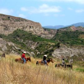 The Lure and Lull of Limestone Canyon and The Sinks, Equestrian Ride