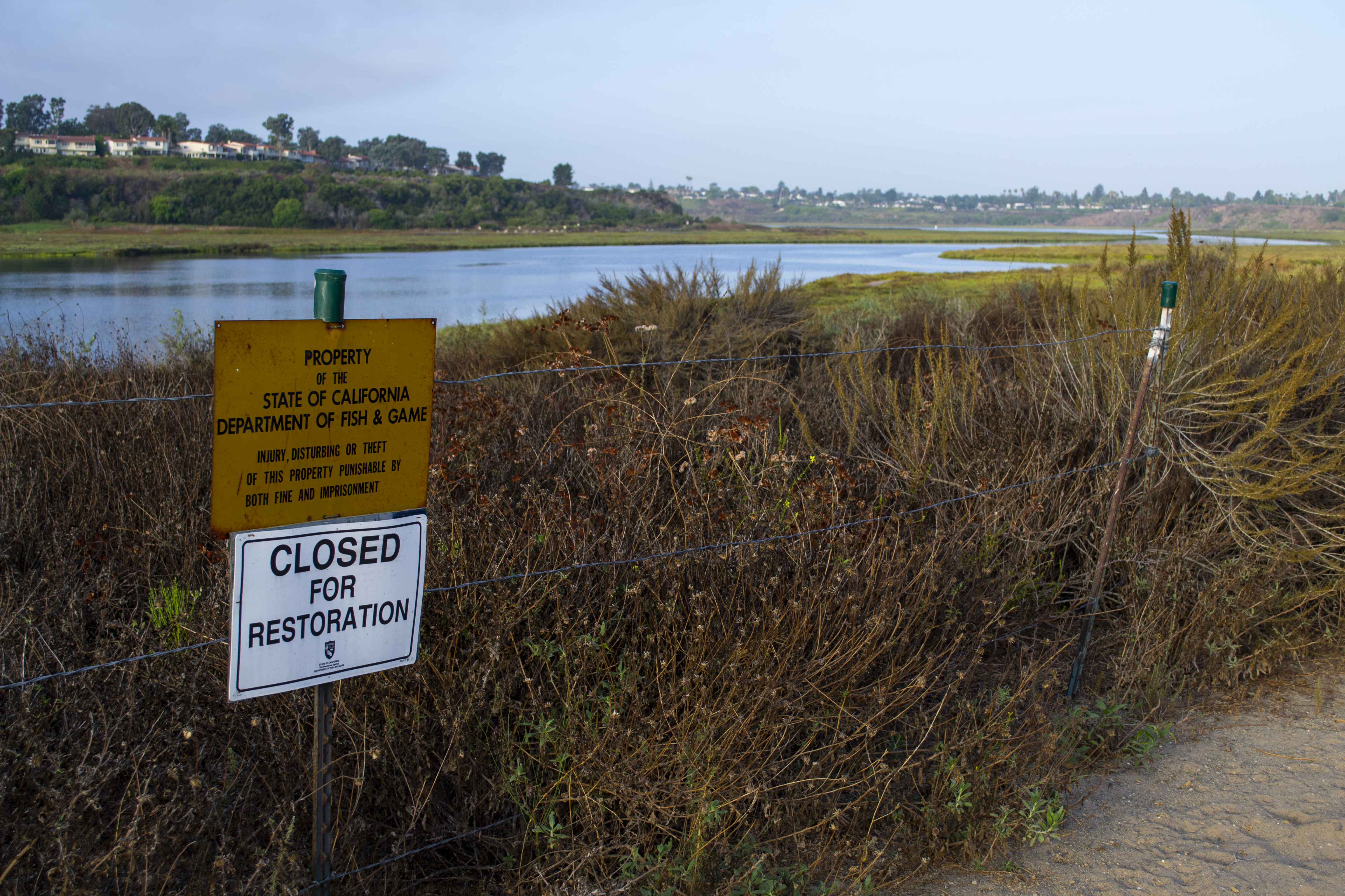 Upper Newport Bay Habitat Stewards