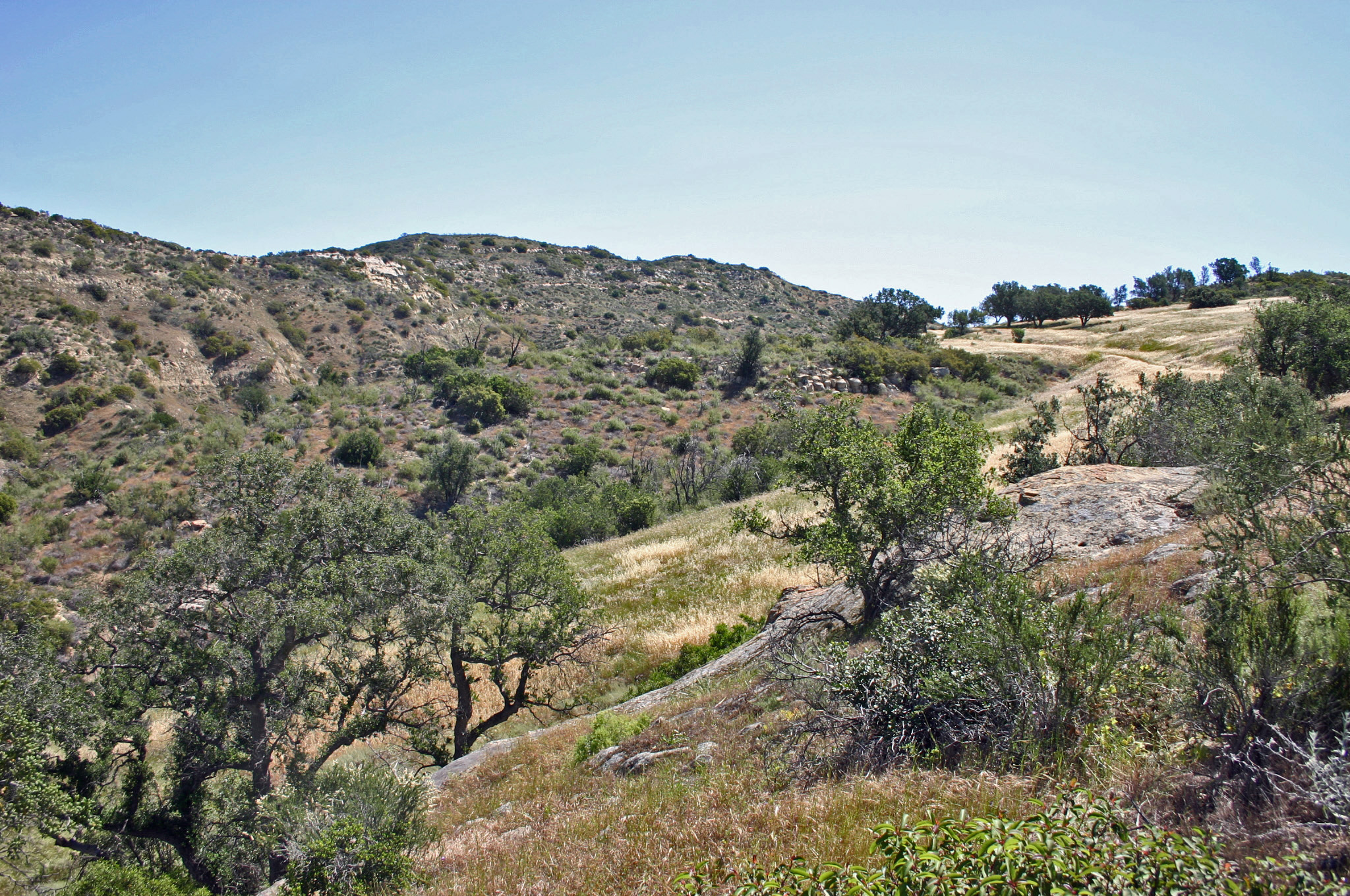 Monday Morning Super Trek: Weir Canyon to the Overlook Trail