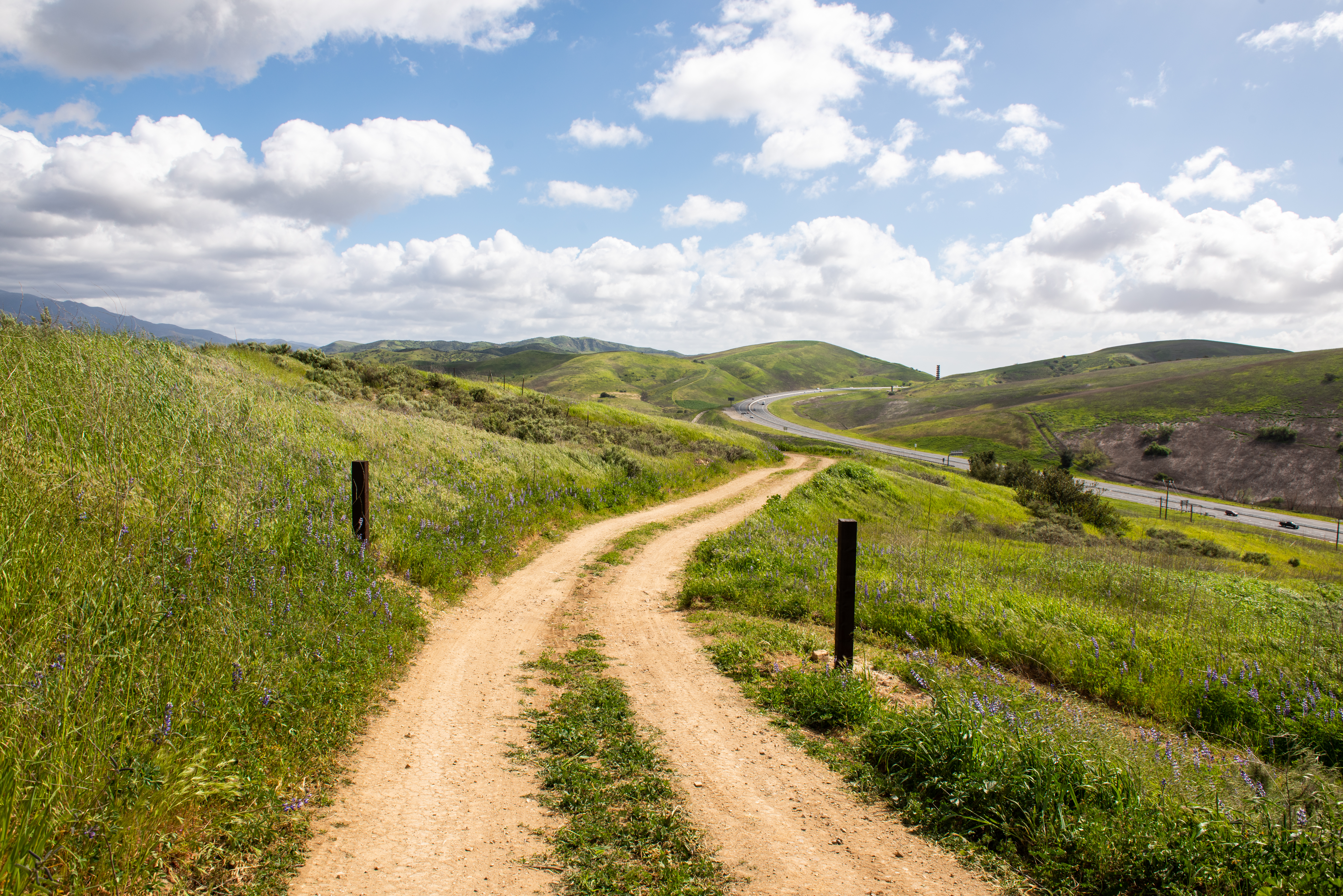 Saddleback Wilderness Stewardship