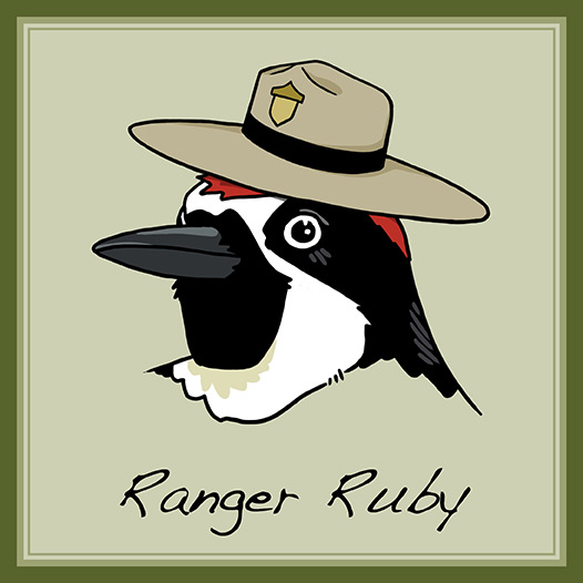 Ranger Ruby