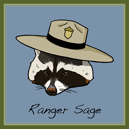 Ranger Sage