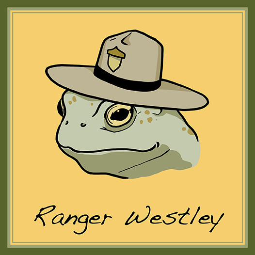 Ranger Westley