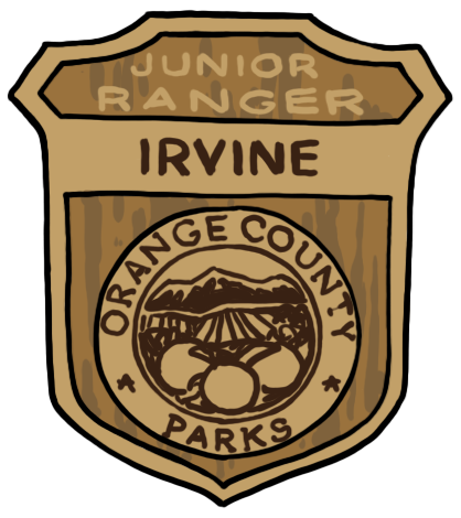 Jr. Ranger badge