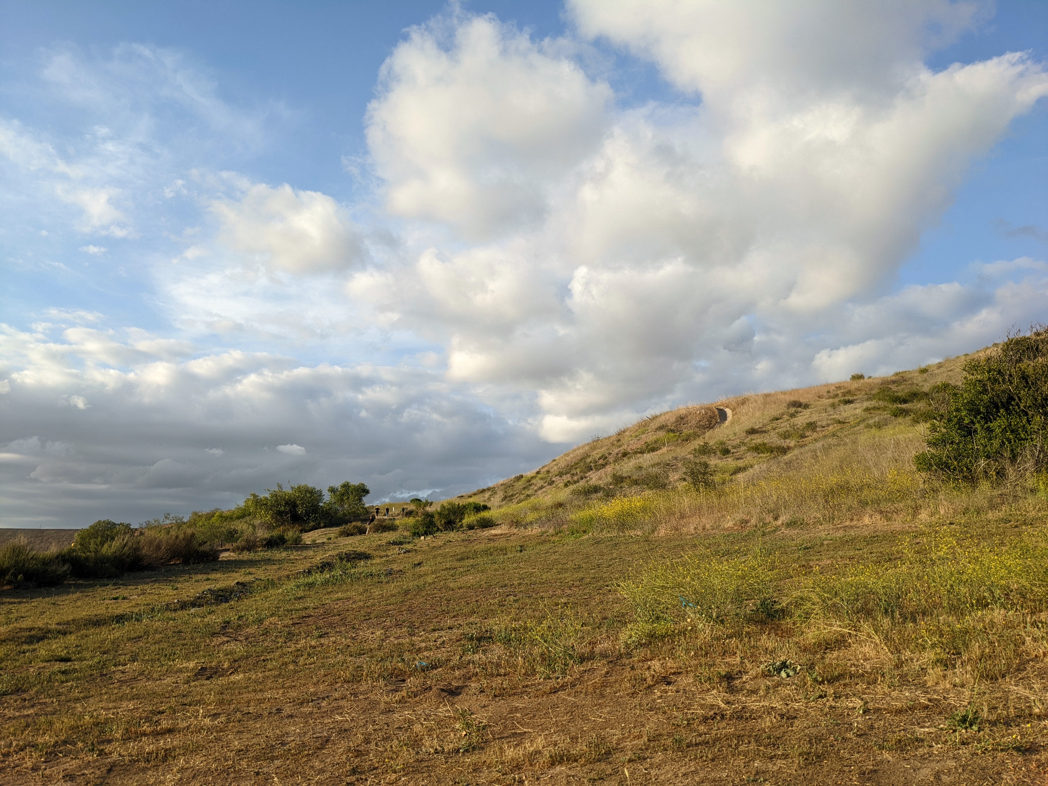Second Saturday Restoration: Peters Canyon