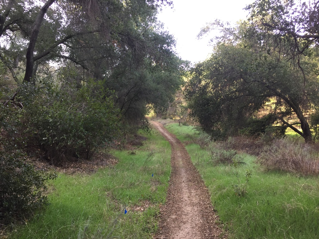 Explore Limestone Canyon Hike to Dripping Springs