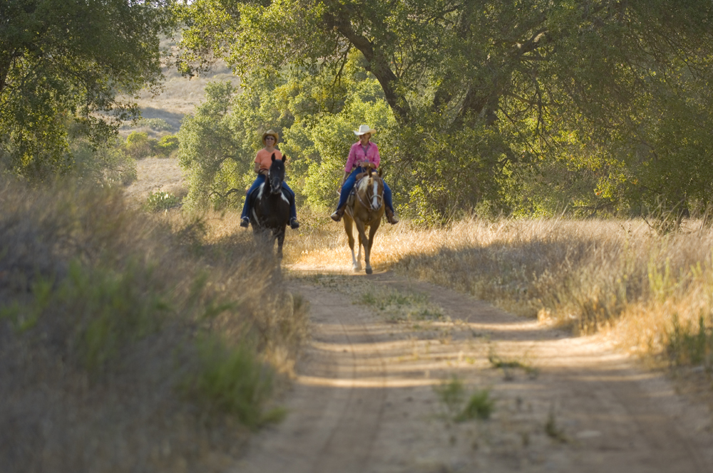 The Lure and Lull of Limestone Canyon Equestrian Ride to The Sinks or Dripping Springs