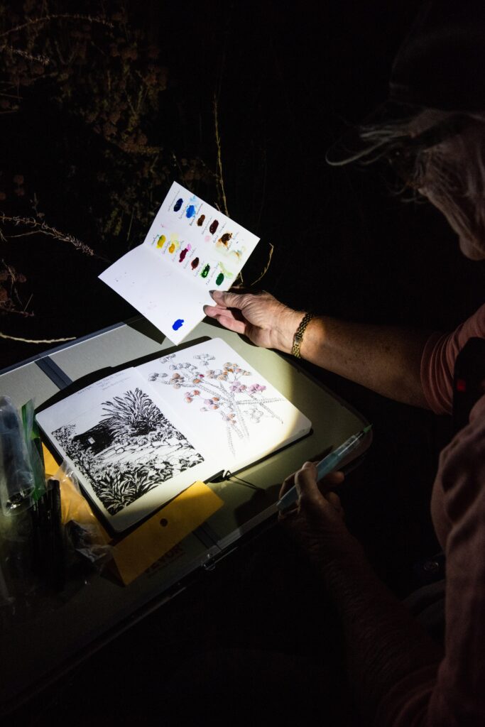 Nature Journaling during the Perseids Meteor Shower