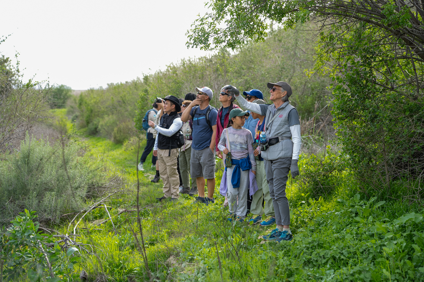 Family Hike: Agua Chinon