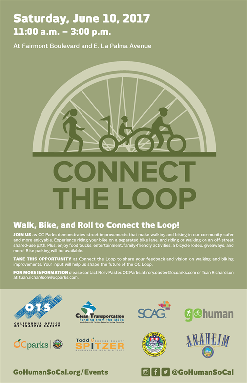 Connect the Loop Flier