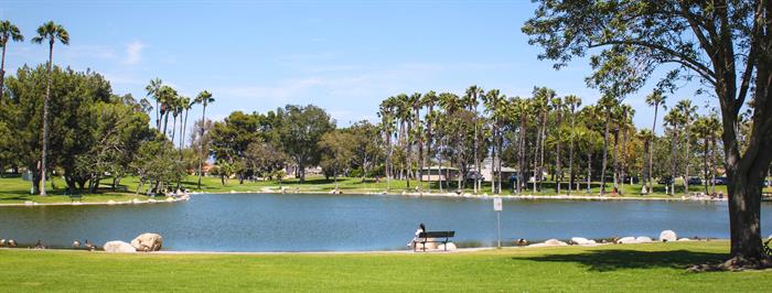 Lake surrounded by green grass with a woman sitting on a bench