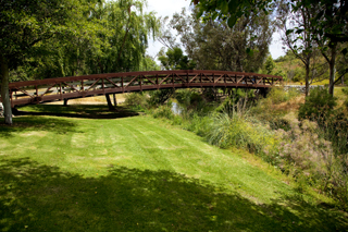 Bridge at Laguna Niguel Regional Park