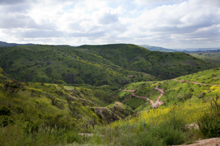 Green, rolling hills with trails