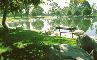 Bench in a scenic setting overlooking the lake at Mile Squre Park.