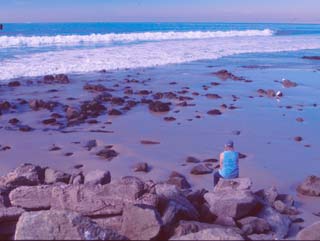 Man sitting on rocks and looking at the ocean.