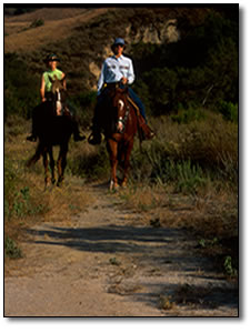 Equestrain Trail Etiquette