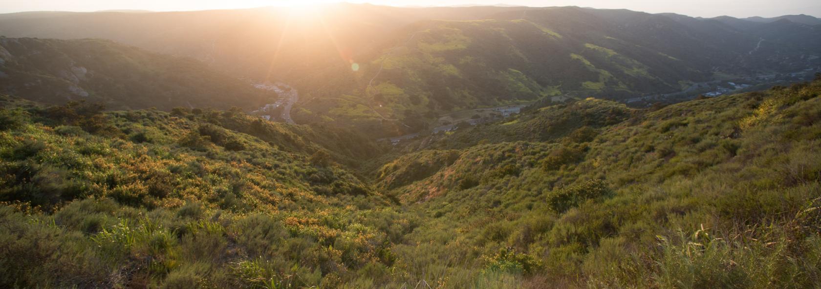 Sunset over a sage scrub landscape