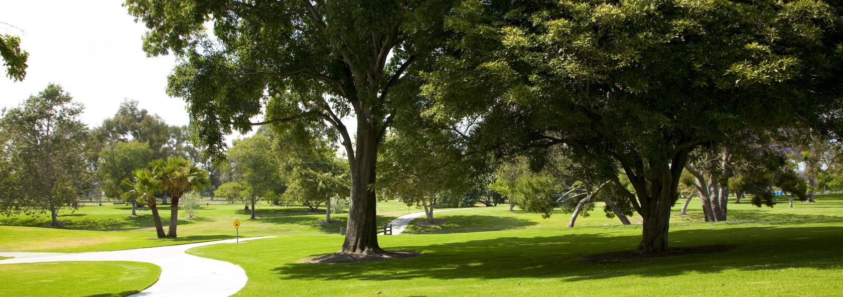 Paved pathway running through a grassy area with trees