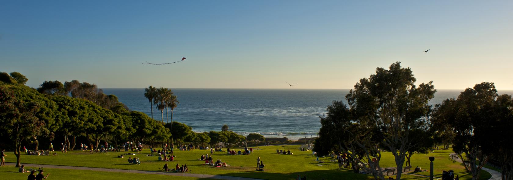 Grassy area leading down to an ocean view