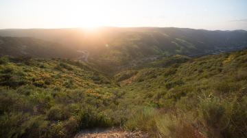 Sunset over a sage scrub landscape