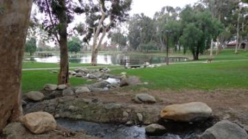 Small lake surrounded by grass, rocks and trees