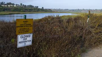 Upper Newport Bay Habitat Stewards
