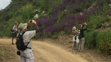 Discovery Hike – Wood Canyon