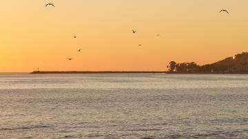 Capistrano Beach