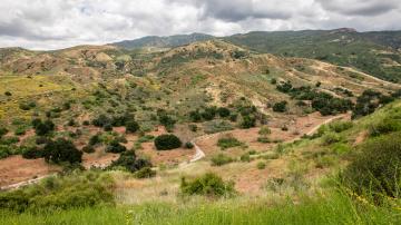 Early Morning Hike: Gypsum Canyon Wilderness