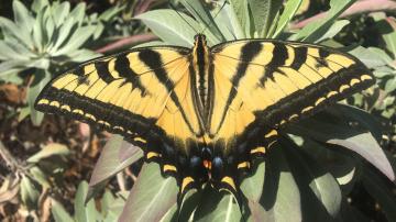Explorers Hike: West Canyon Loop