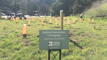 Land Tending with LCF – Aliso Creek