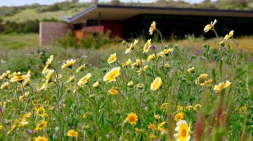 Keep it Wild – Laguna Coast