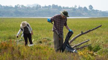 Volunteers at Coastal Cleanup Day, 2023