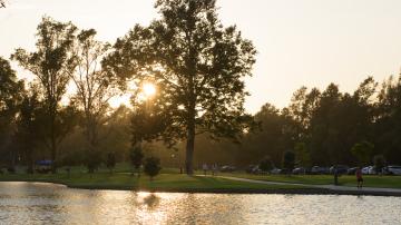Sunset at Mason Regional Park.