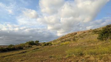 Second Saturday Restoration: Peters Canyon