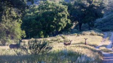 Limestone and Red Rock Night Ride