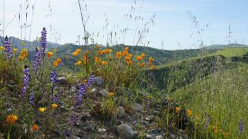 Hike to the Sinks: For Those Who Like a Bit More Time