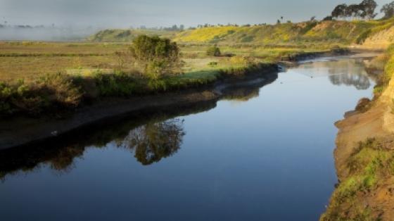 Creek flowing through Upper Newport Bay Nature Preserve