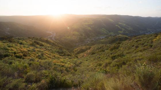 Sunset over sage scrub landscape