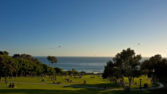 Grassy hill leading down to an ocean view