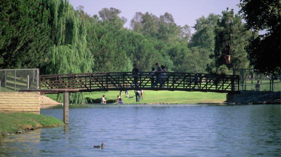 Bridge over a small lake surrounded by trees