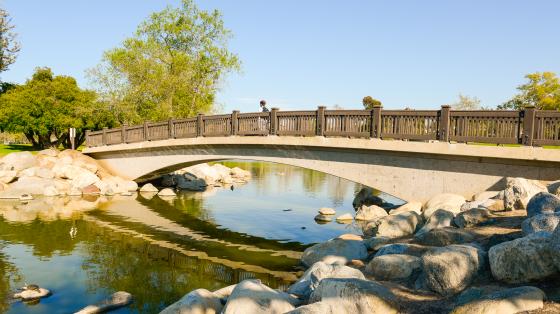 Bridge reflected in the lake below