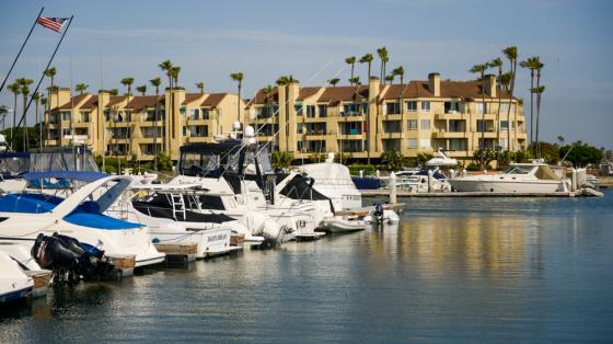 Motorboats docked at a marina