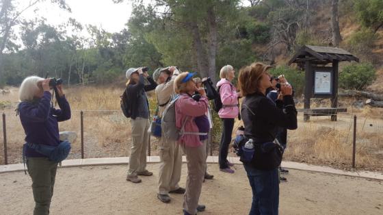 A group of people standing while looking through binoculars