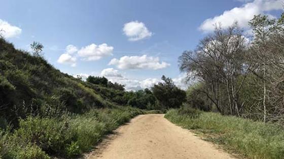 A wide, flat trail under a blue sky with puffy clouds is flanked by natural sage scrub.
