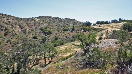 A view of Weir Canyon