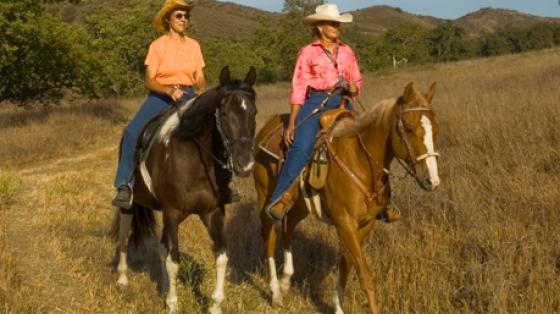 Equestrian Ride, Weir Canyon