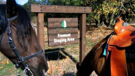 Equestrian Ride in Fremont: Big, Bold, Breathtaking!